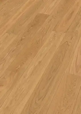 Дуб Шартенальм (Schärtenalm oak)
