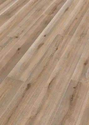 Дуб Миттеральм  (Mitteralm oak)