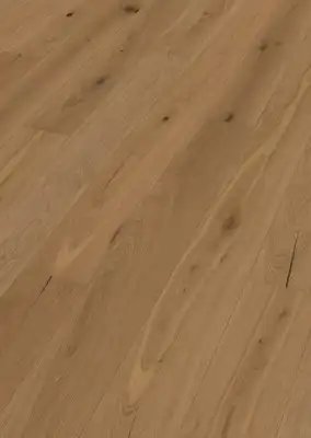 Дуб Брандеральм (Branderalm oak)