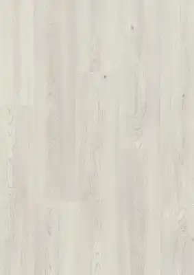 Дуб Морской