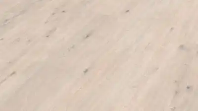 Дуб Узловатый кремовый белый 6947