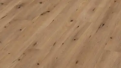 Дуб Полевой натуральный 6844