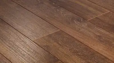 Дуб Кенийский