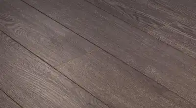Легендарный дуб