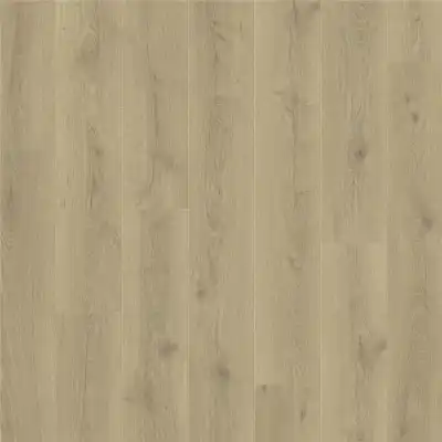 Дуб Cити