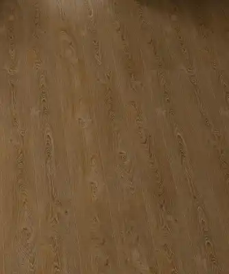 Дуб Венецианский