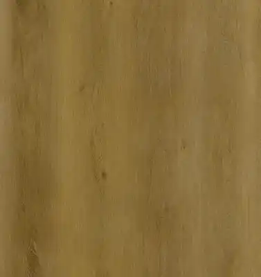 Дуб золотистый 6610