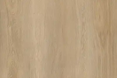 Дуб шампань 6604