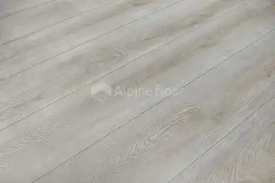 Блэк