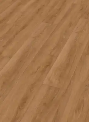 Дуб Бабье лето 7328