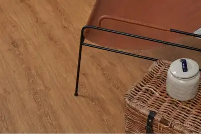 Дуб Мейс