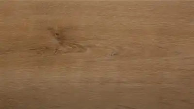 Дуб золотой