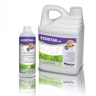 Ecostar 2K ( 4,5+0,45л)