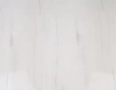 Дуб Гальяно