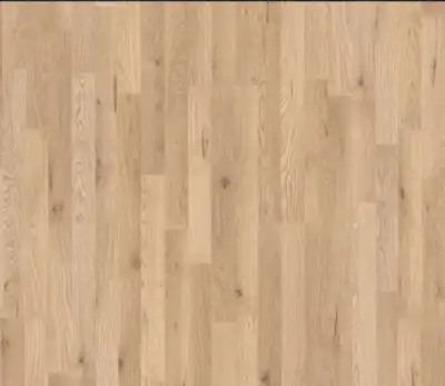 Дуб Высокогорный 538855