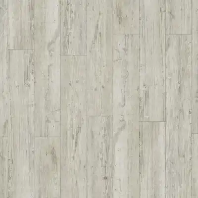 Latin Pine 24142