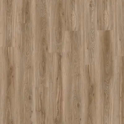 Blackjack Oak 22229