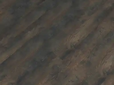 FF-1585 Дуб Окленд