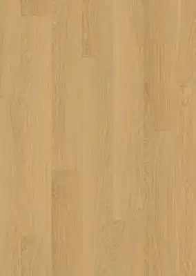 Дуб Английский