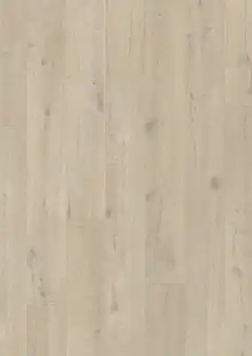 Дуб Песочный