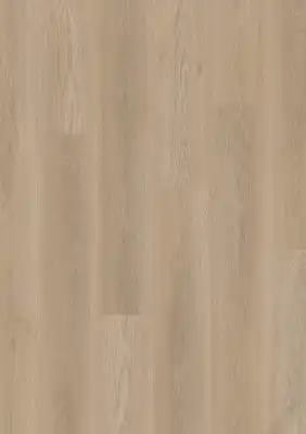 Дуб Дворцовый Серый
