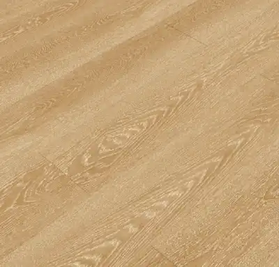 Дуб Шампань