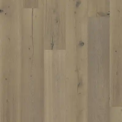 Дуб Шильон (Chillon)