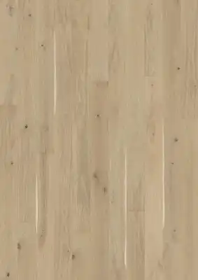 Дуб Скорлупа (Eggshell)