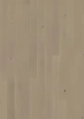 Дуб Карандаш (Crayon)