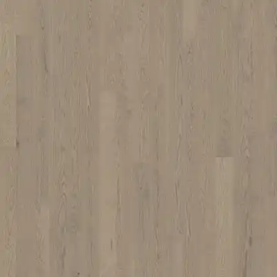 Дуб Рейтер (Reiter)