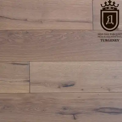 Тургенев (Turgenev)