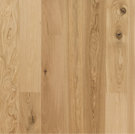 OAK STORY ESSENTIAL DUO 5G