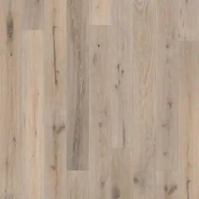 Дуб Устрица (Oak Oyster)