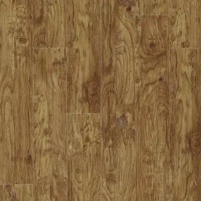 Eastern Hickory 57422