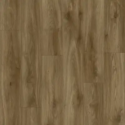 Sierra Oak 58876