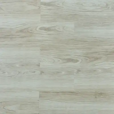 Клён Арчи