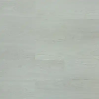 Клён Сугари