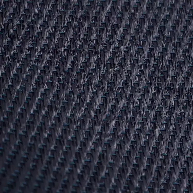 ECO 51013