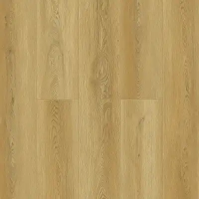 Vold (Волд)