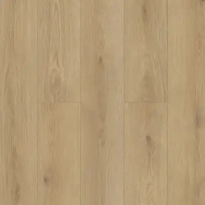 Toti (Тоти)