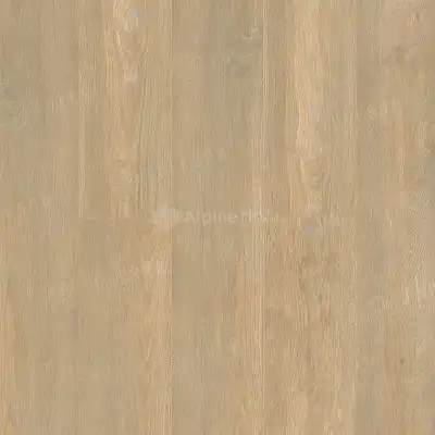 Elegante (Элегантный)