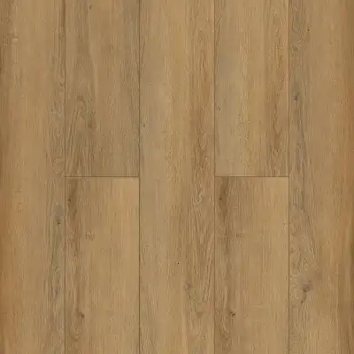 Singolo (Синголо)
