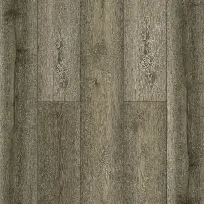 Foresta (Фореста)