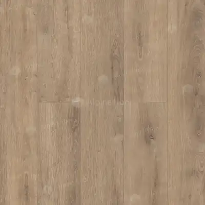 Дуб Карамель