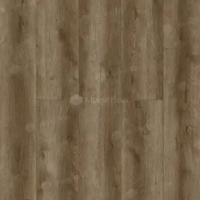 Дуб Мокка