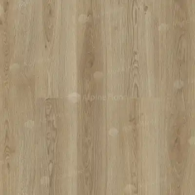 Дуб Элеганс