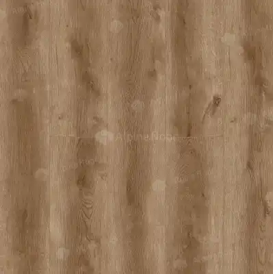 Дуб Ивори