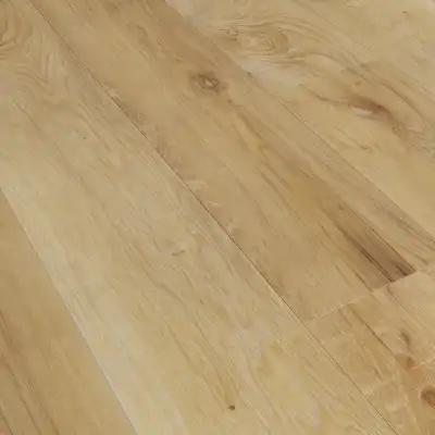 Дуб Веркола