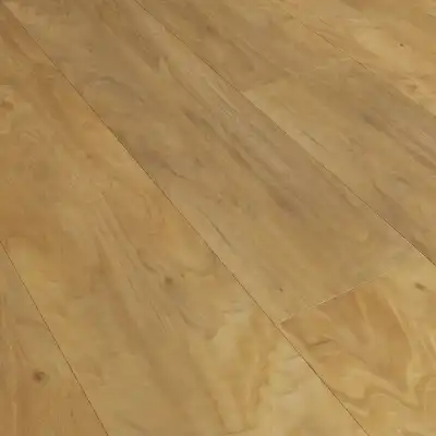 Дуб Шелтозеро