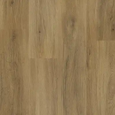 Jersey Oak